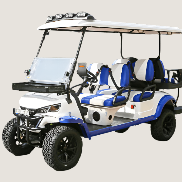 6 seater golf cart