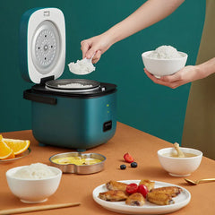 electric under 5 cup 220 volt rice cooker